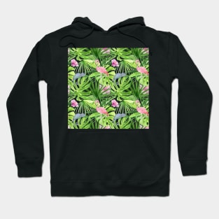 Tropical Jungle Pattern with Flamingos and Chameleons Hoodie